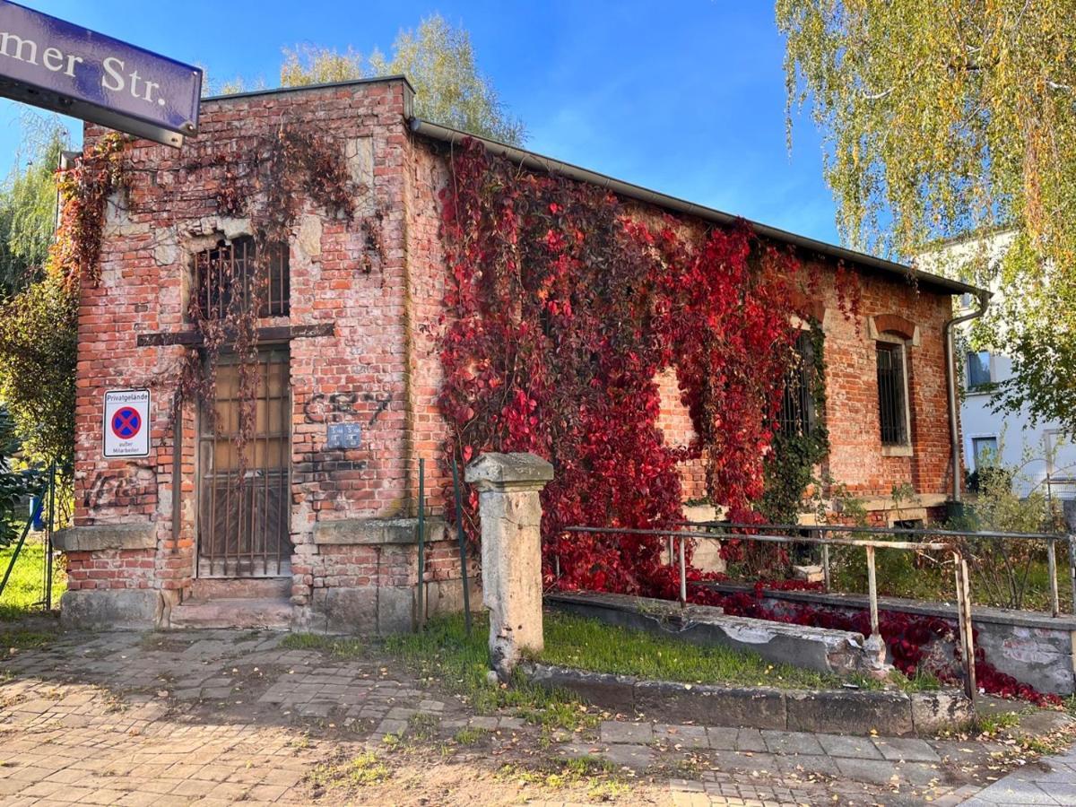 Gemutliche Oase - Tv, Beamer, Kuche Fur 4 Personen Appartamento Dresda Esterno foto